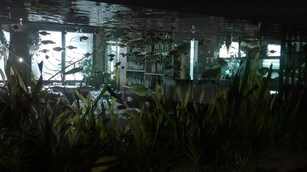 מילאנו Locanda Ai Due Orsi חדר תמונה